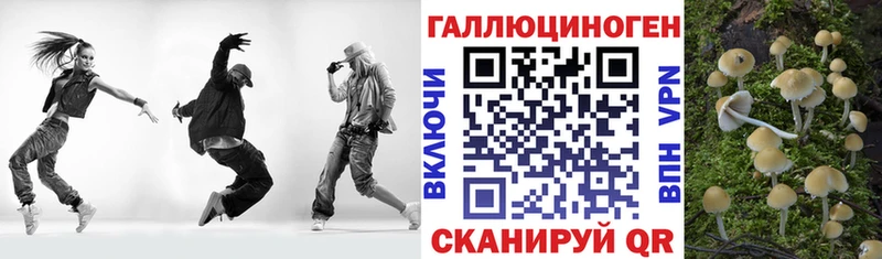Купить где Белинский Псилоцибиновые грибы Psilocybe